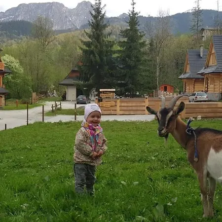 Karpielowka Przy Potoku Косцелиско
